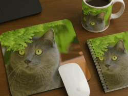 Personalised Pet Merchandise Pack