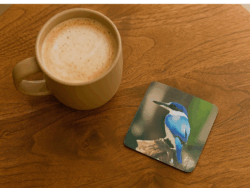 Kingfisher Coasters
