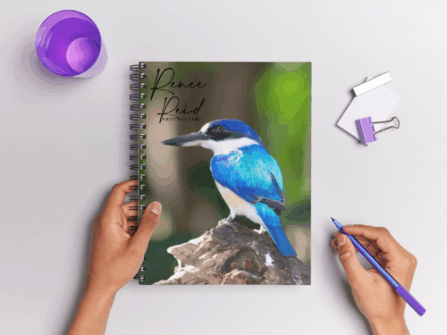 Mug, Coasters, Mousepad & Notepad Set - Image 5