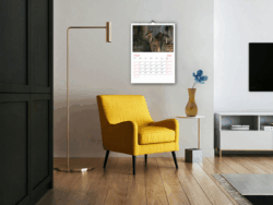 Calendars