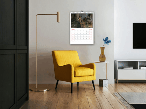 Australian Animals Wall 2026 Calendar