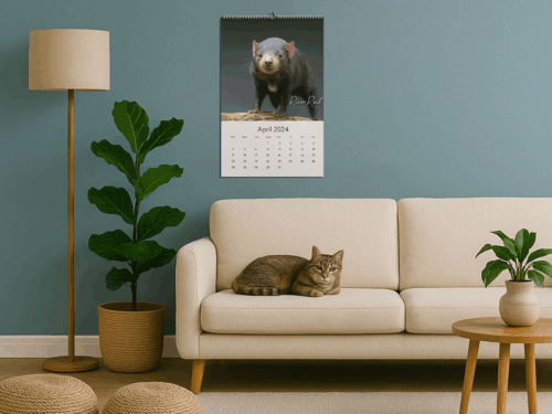 Australian Animals Wall 2026 Calendar - Image 2