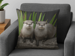 Cushions