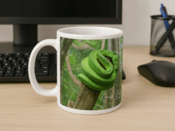 Green Snake Coffee Mug