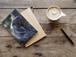 Greeting Cards