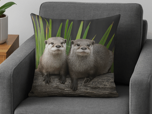 Otter Cushion