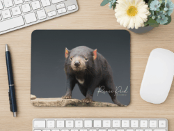 Mousepads