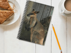 Wallaby Notebook