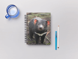 Tas Devil Notebook