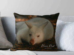 Albino Wallaby Cushion