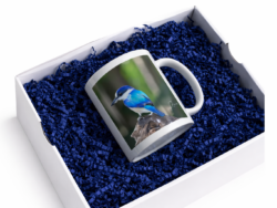 Kingfisher Mug