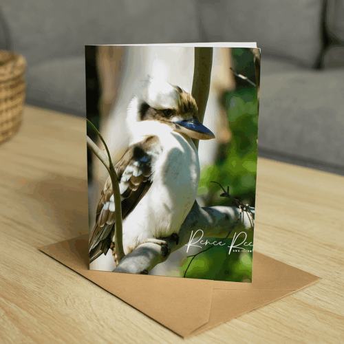 Kookaburra Greeting Card