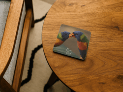 Lorikeet Coasters