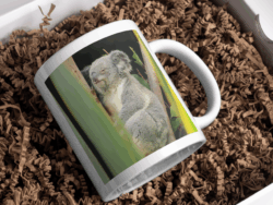 Koala Mug
