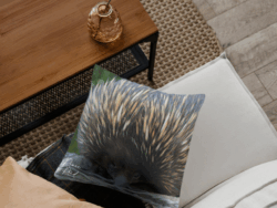 Echidna Cushion