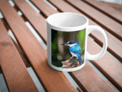 Kingfisher Mug