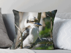 Fluffy Kookaburra Cushion