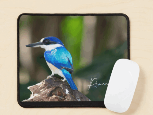 Mug, Coasters, Mousepad & Notepad Set - Image 2