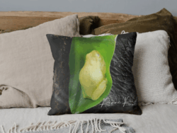 Green Frog Cushion