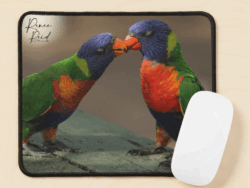 Lorrikeet Mousepad