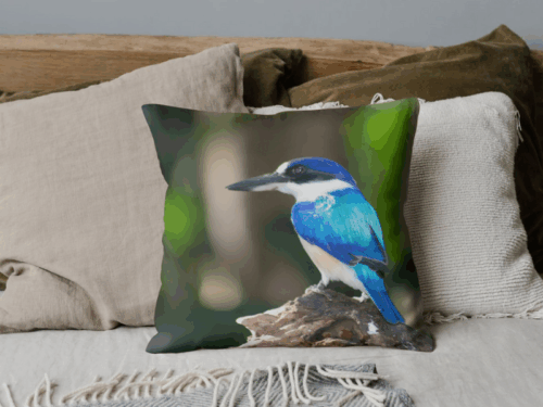 KingFisher Cushion