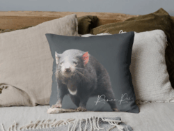 Tassie Cushion