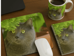 Personalised Pet Images