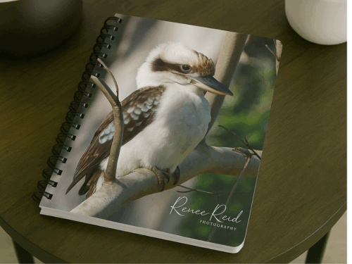 Kookaburra Notebook