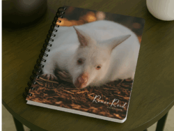 Albino Wallaby Notebook