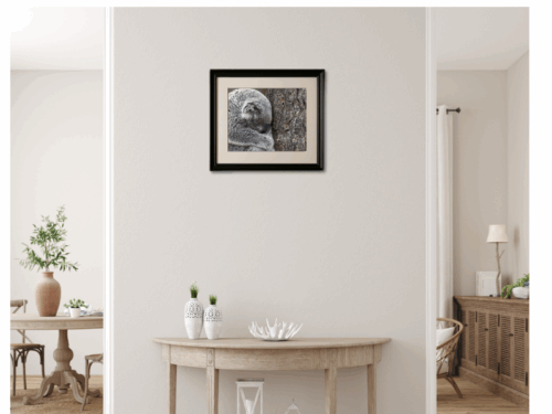 A4 Sleepy Tree Koala Print