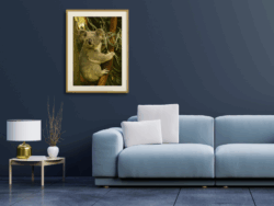 A4 Koala Print