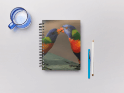 Lorrikeet Notebook