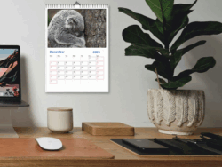 Australian Animal Wall 2025 Calendar