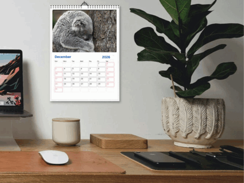 Australian Animal Wall 2025 Calendar