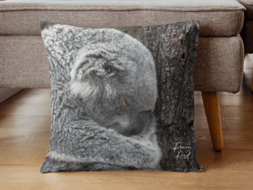 Koala Cushion