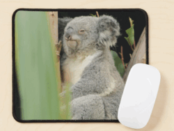 Koala Mousepad