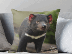 Tassie Devil Cushion