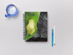 Green Tree Frog Notebook