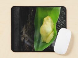 Green Tree Frog Mousepad