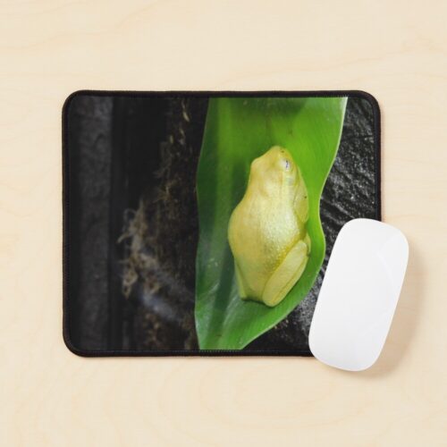 Green Tree Frog Mousepad