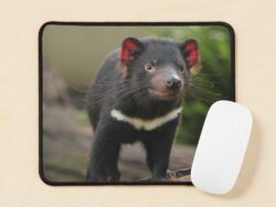 Tassie Devil Mousepad