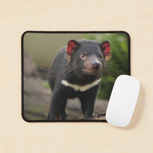 Tassie Devil Mousepad