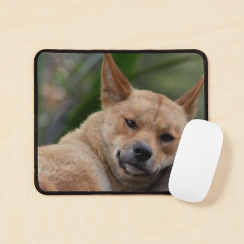Dingo Mousepad