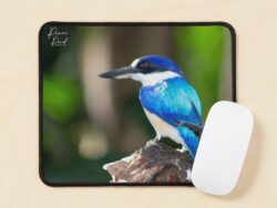 Kingfisher Mousepad