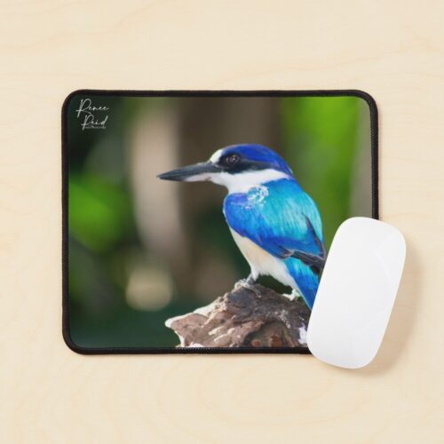 Kingfisher Mousepad