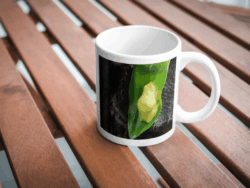 Green Tree Frog Mug