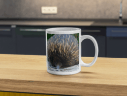 Echidna Mug
