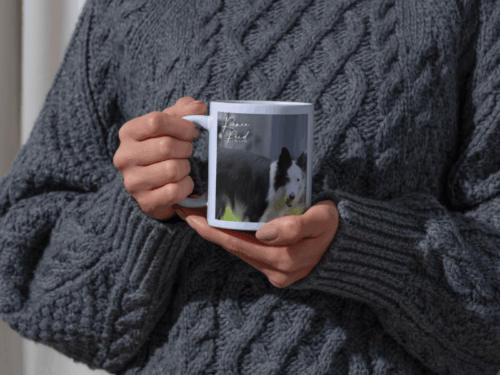 Personalised Pet Merchandise Pack - Image 2