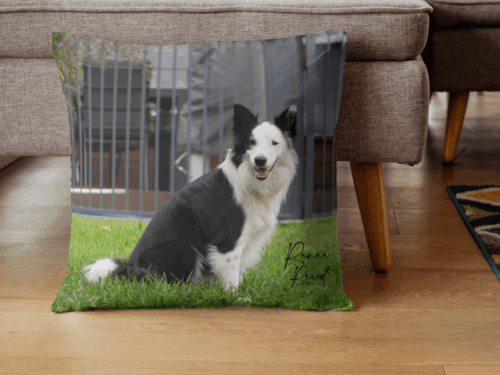 Personalised Pet Merchandise Pack - Image 4