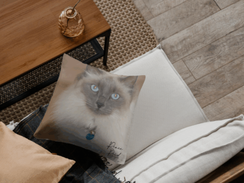 Personalised Pet Merchandise Pack - Image 6